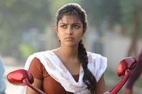 Amala Paul New Photos